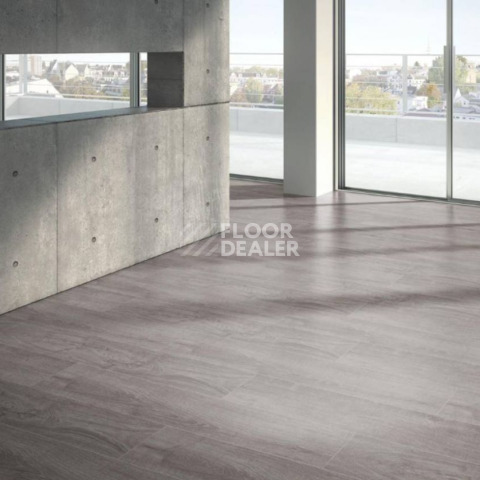 Parador Basic Plus 600 XS 1593842 Дуб Светло-серый фото 2 | FLOORDEALER